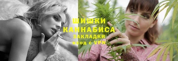 винт Дмитров