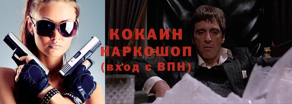 винт Дмитров