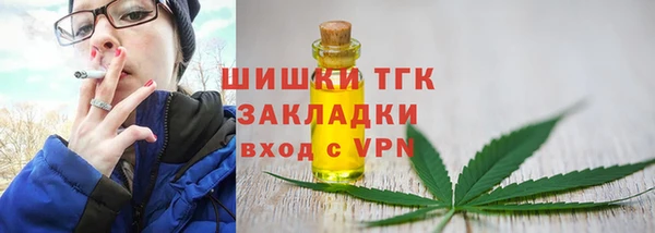 Альфа ПВП Дмитровск