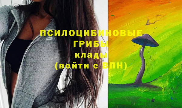 Альфа ПВП Дмитровск