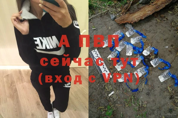 Альфа ПВП Дмитровск
