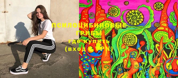 винт Дмитров
