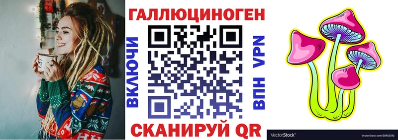 Купить Мамадыш Галлюциногенные грибы Psilocybine cubensis